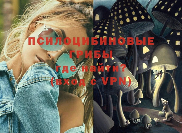 метадон Инсар