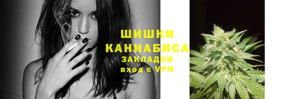 метадон Инсар